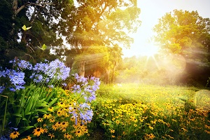 Naturfotografie Lichtverhältnisse Naturfotografie Lichtverhältnisse