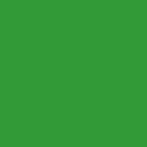 Hintergrundkarton 2x11m Chroma Green
