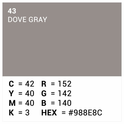 Hintergrundkarton 2,72x11m Dove Gray