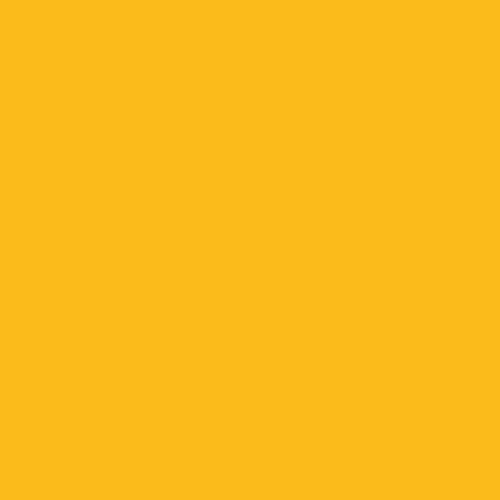 Hintergrundkarton 2x11m Forsythia Yellow