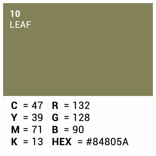 Hintergrundkarton 2,72x11m Leaf