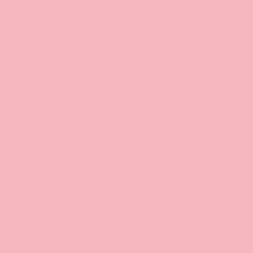Hintergrundkarton 2,72x11m Carnation Pink
