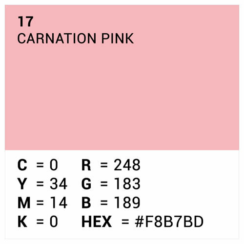 Hintergrundkarton 2x11m Carnation Pink