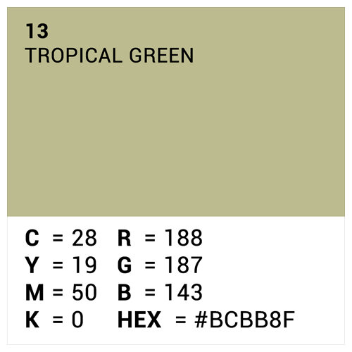 Hintergrundkarton 2x11m Tropical Green