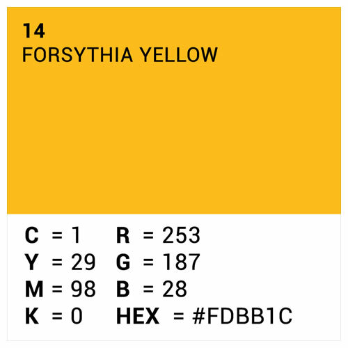 Hintergrundkarton 0,7x10m Forsythia Yellow