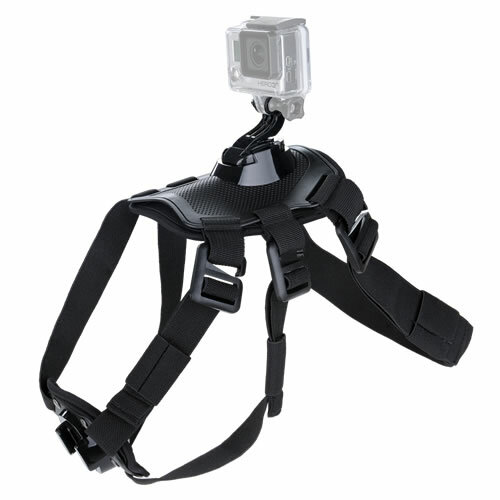 Hundegeschirr für Actioncam kompatibel mit GoPro...
