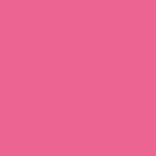 Hintergrundkarton 65x100 Pink für Aufnahmetische