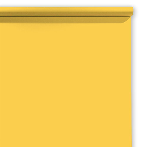 Hintergrundkarton Buff 2 × 11 m –...